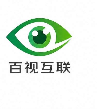 合作伙伴百视互联